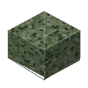 jungle temple