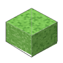 slime chunk